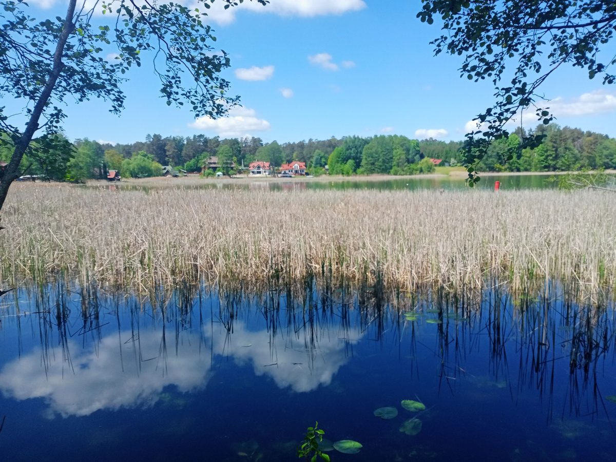Jezioro Studzieniczne