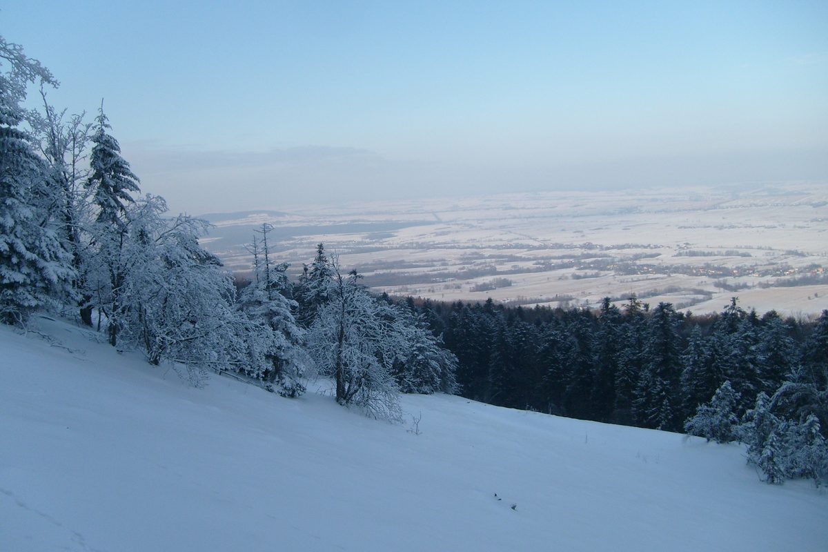 Widok z grzbietu Łysogór