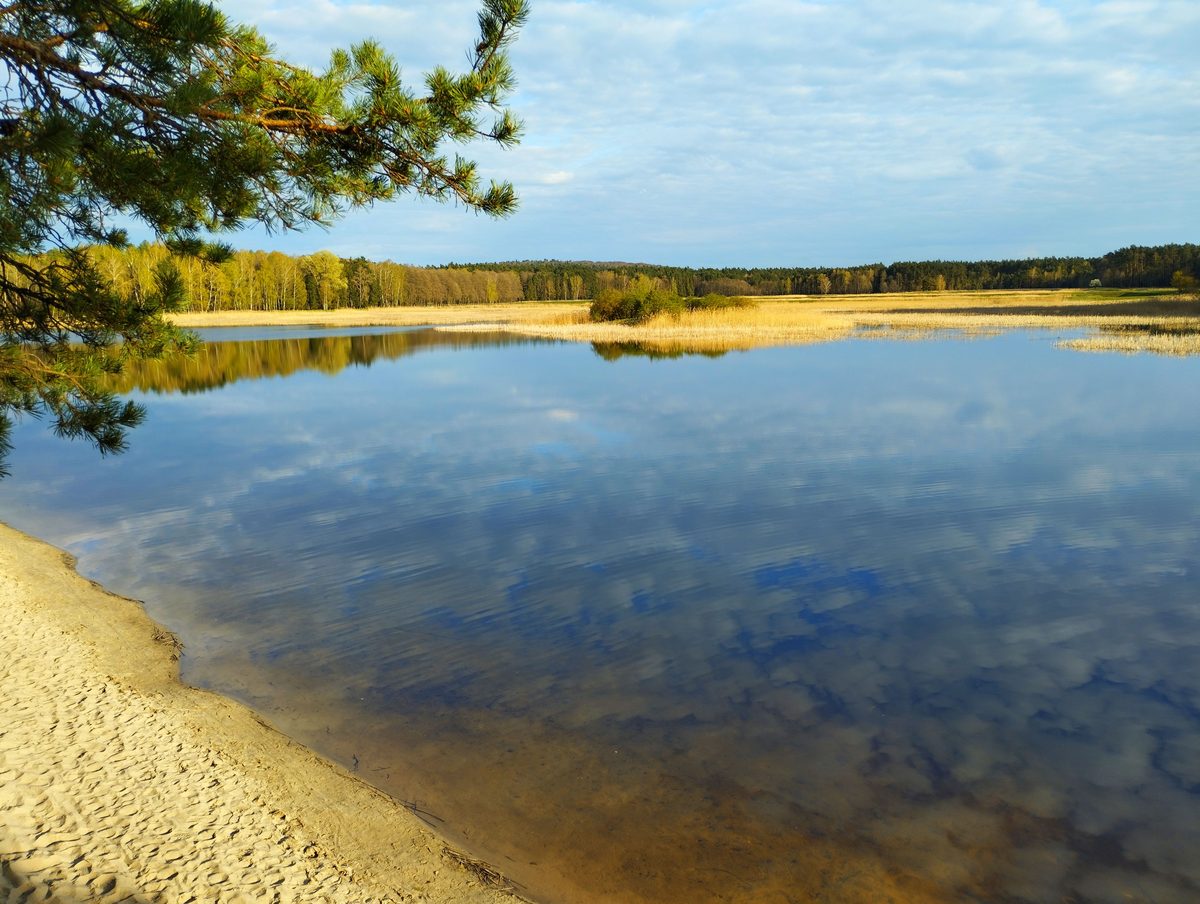 Zalew Echo — widok na taflę wody